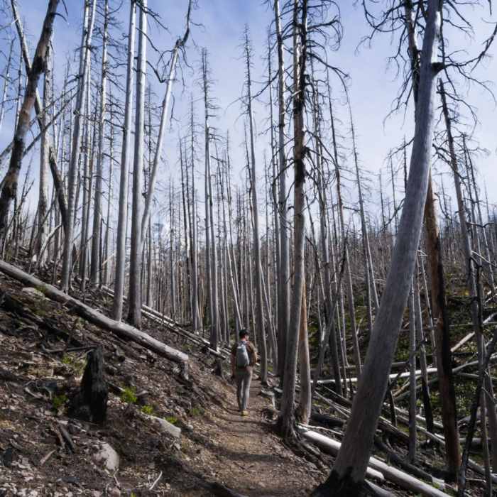 Near Vista Ridge Trail Hike