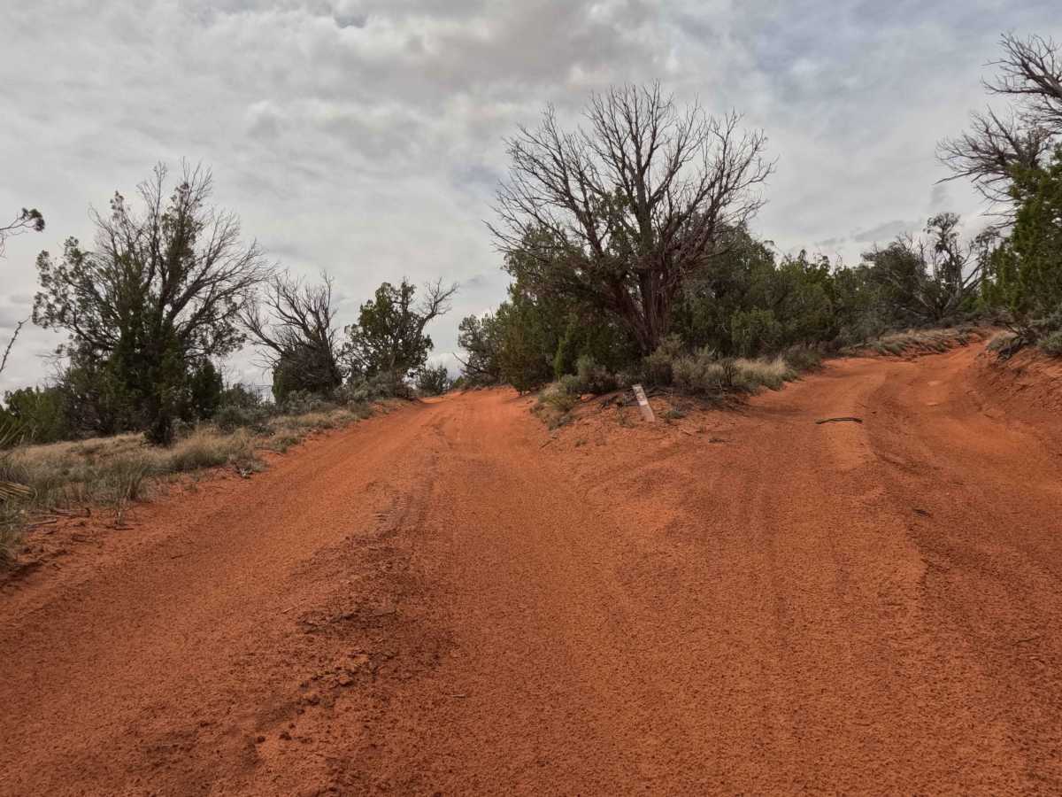 BLM 61 photo 6