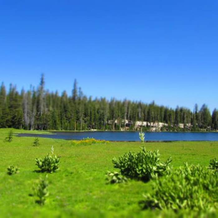 Near Wheeler Lake Trail