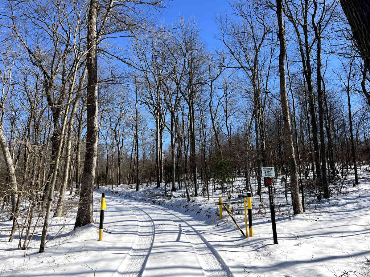 Beaver Meadow Trail photo 4
