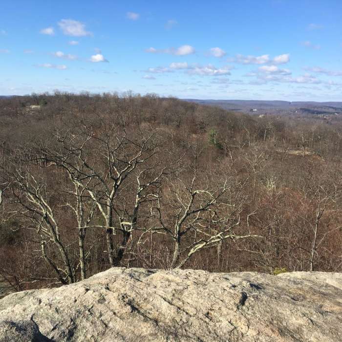 Near Dater Mountain Loop