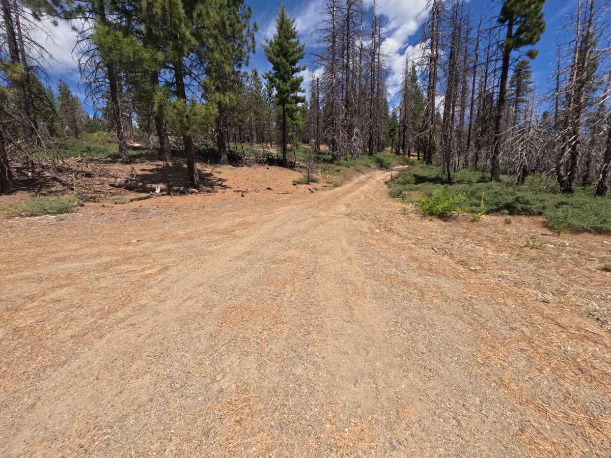 Postpile - FS 24N38 photo 3