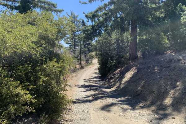 Gobblers Knob Spur A