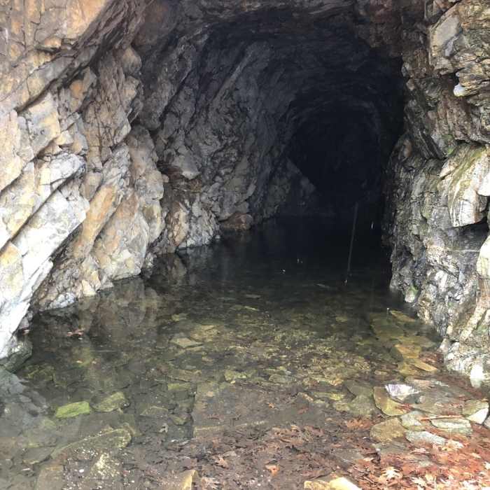 Near Bear Mountain Loop