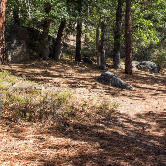 Near Cedar Grove Overlook