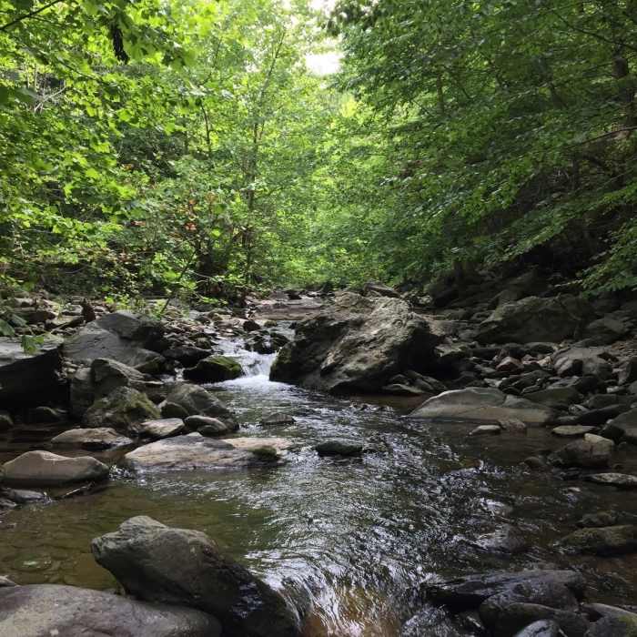 Near Sugar Hollow Loop