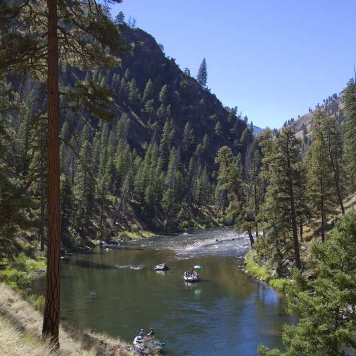 Near Middle Fork of the Salmon River Trail a Day 3
