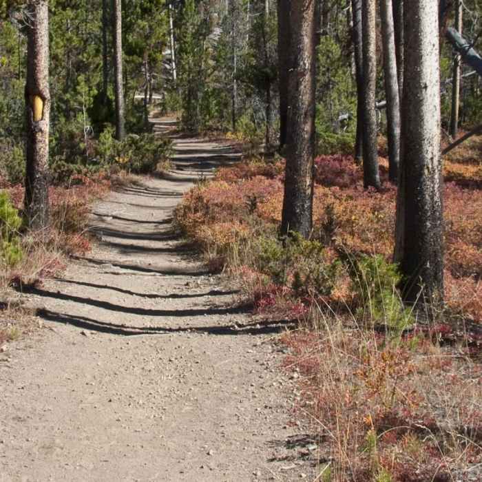 Near Hell Roaring Lake