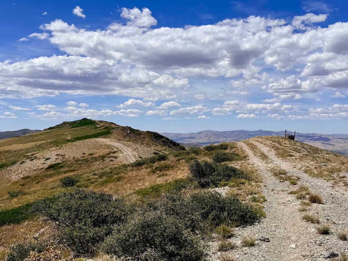 California Mountain - FS 56155 trail photo