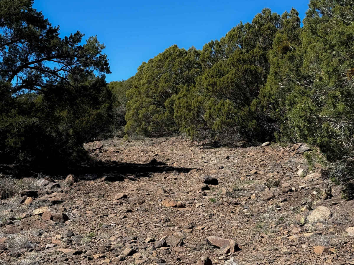 Smith Mesa Corral #665  photo 4
