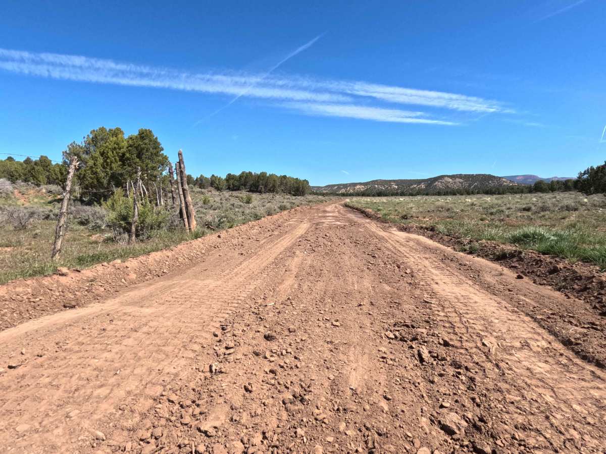 BLM 115 photo 5
