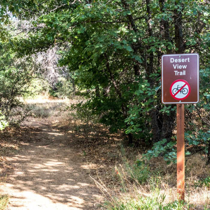 Near Desert View Trail via Burnt Rancheria Campground