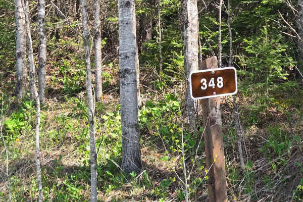 Whitefish Lake Trail
