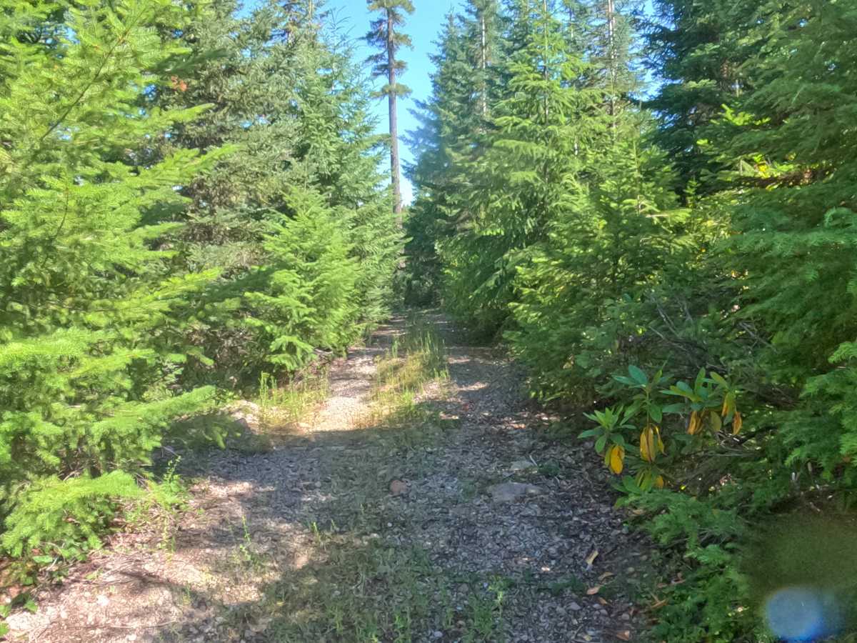 Presley Lake - FS 2257515 photo 6