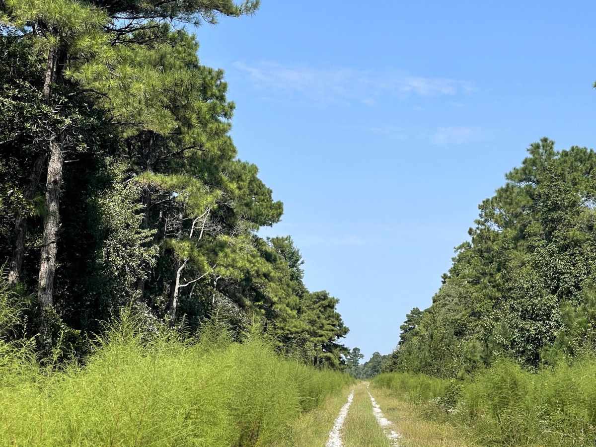 Elmur Road photo 2