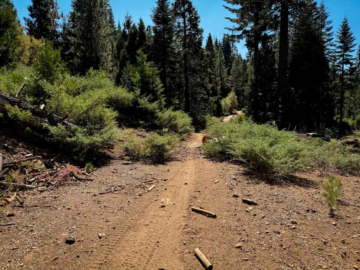 17EV85 trail photo
