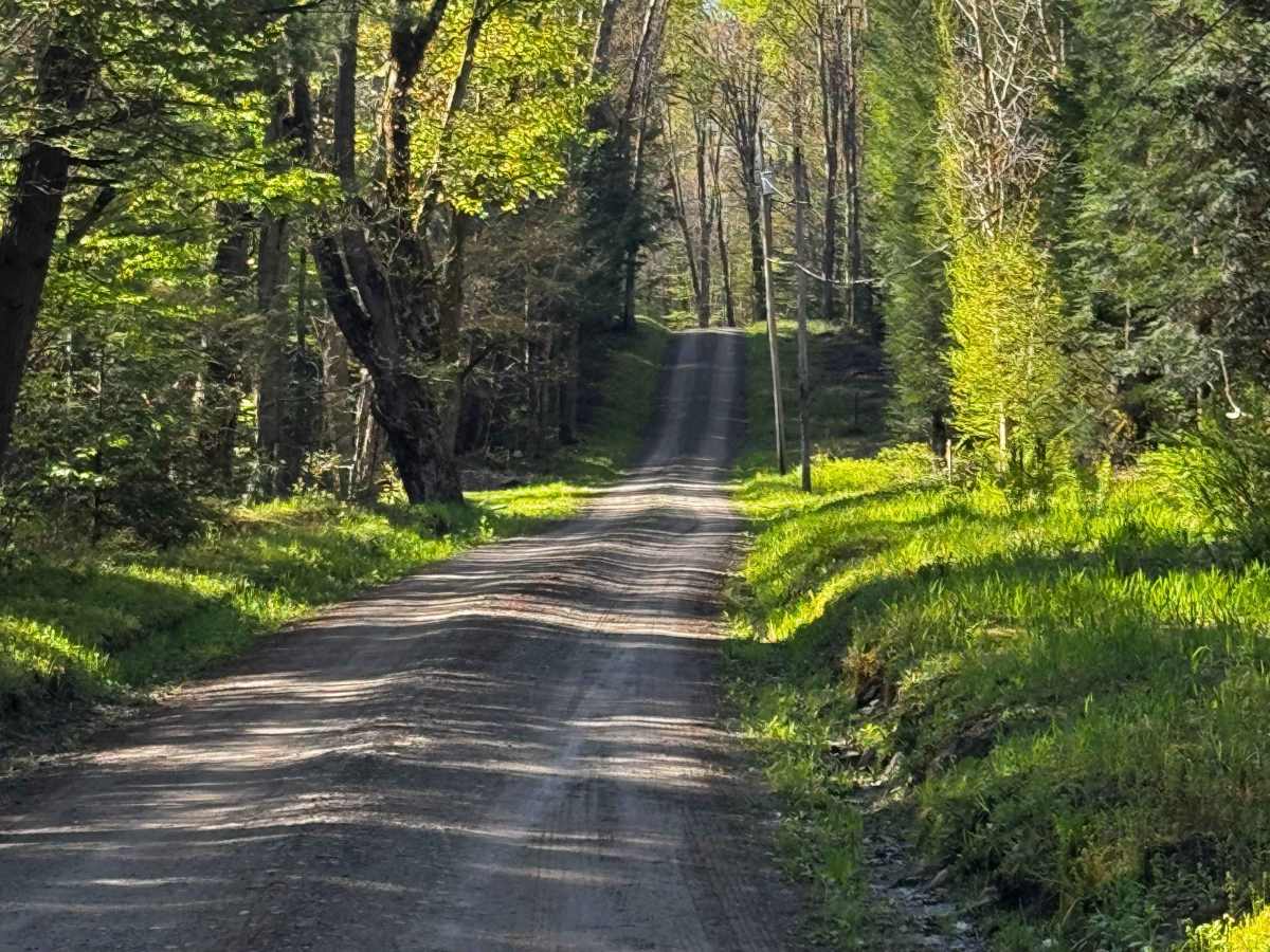 Woodward Dam Road photo 6