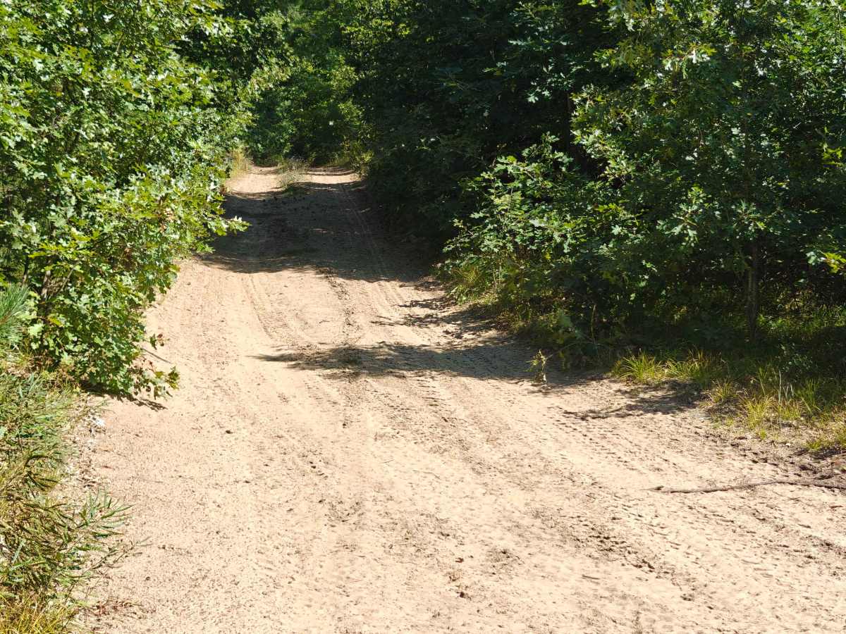 West Greenwood Trail photo 3