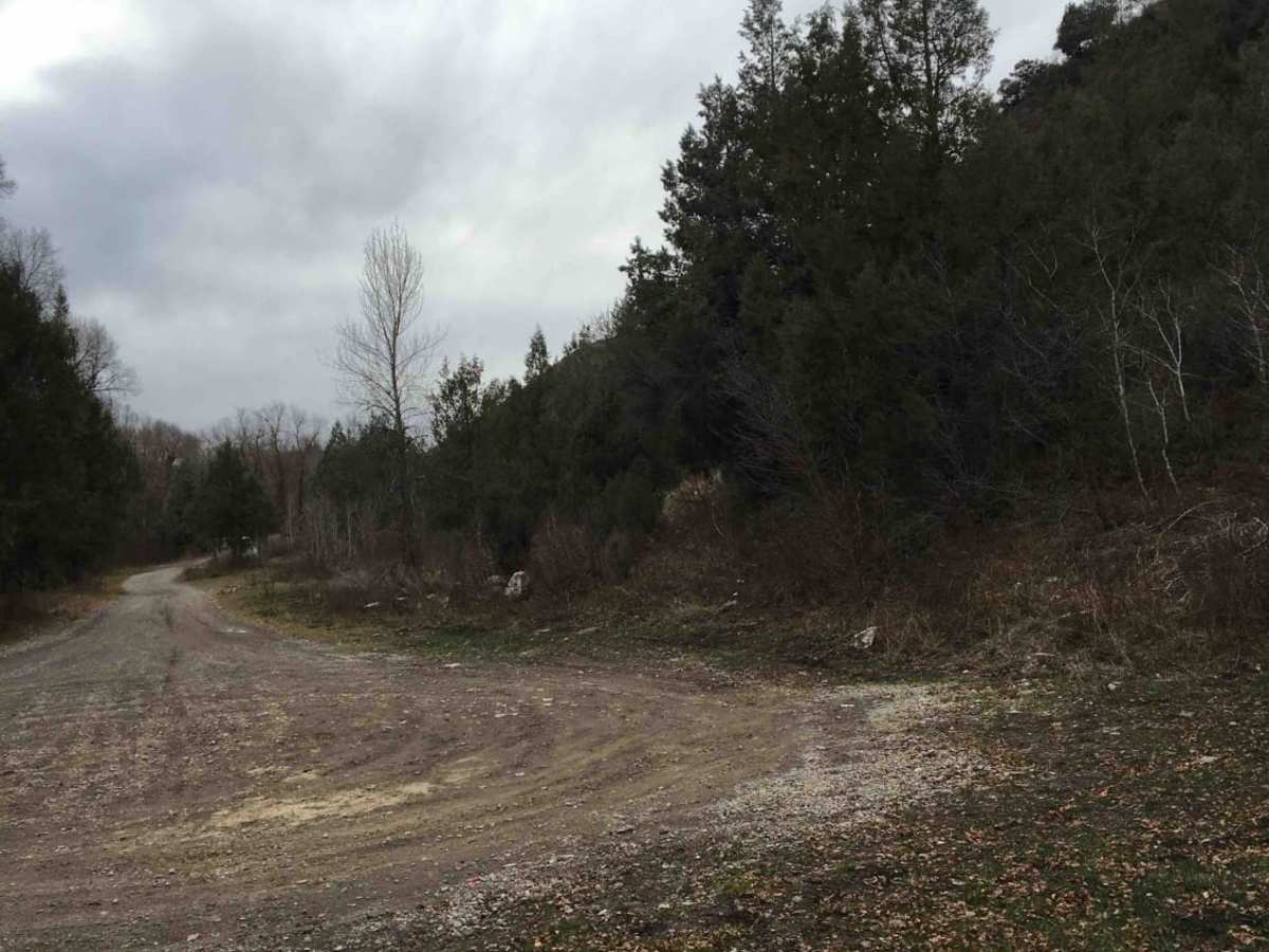 Burns Creek, Hell Hole, and Coalmine Access photo 6
