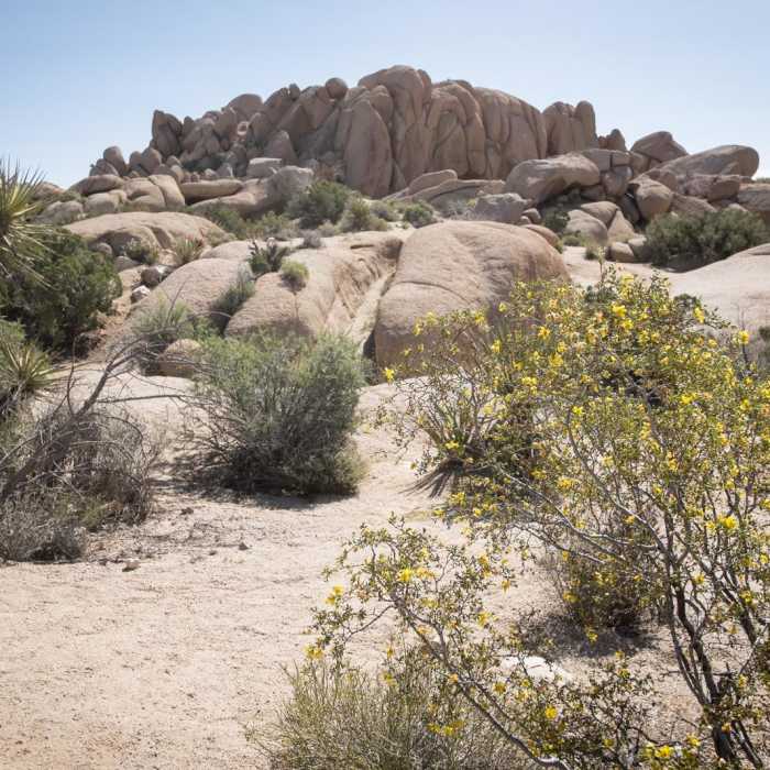 Near Skull Rock Nature Trail