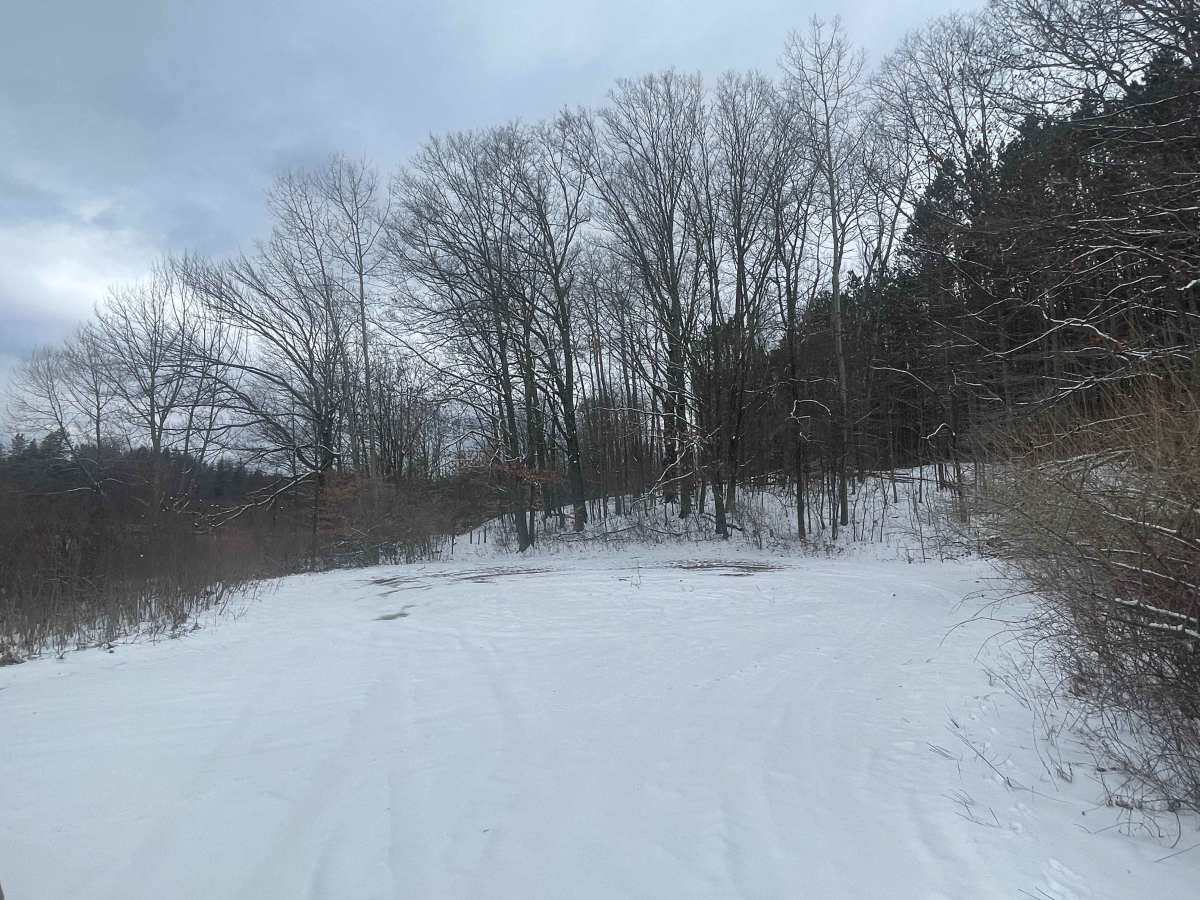 Brush Lake Access Trail - FS 5691 photo 4