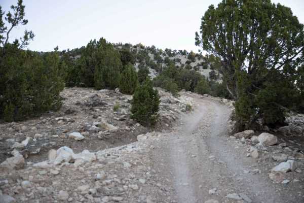 Toll Road to Steve's Pass