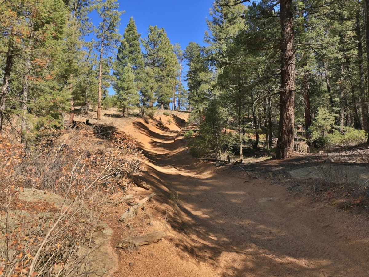 Long Hollow 50-inch Trail (FS 650) photo 4