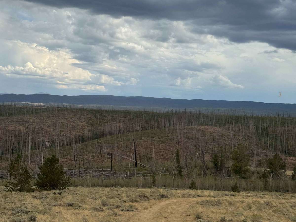 West Gramm Road trail photo
