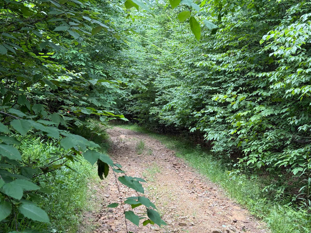 Barker Trail photo 4