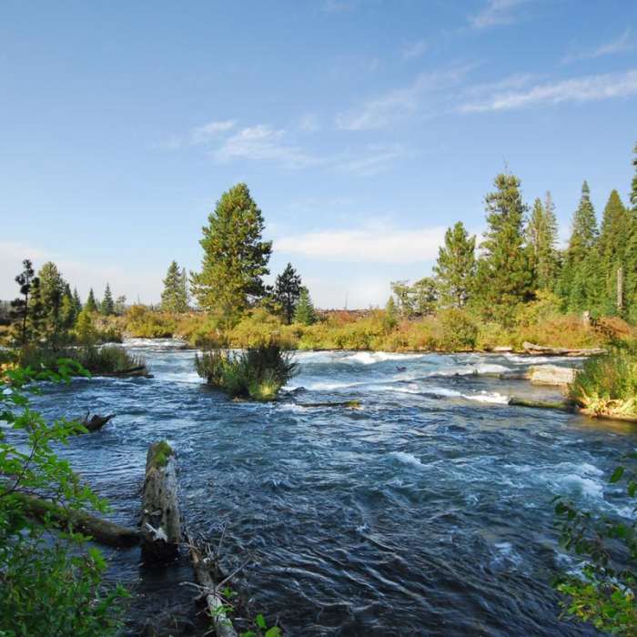 Near Deschutes River Trail, Upper Reach Hiking Trail