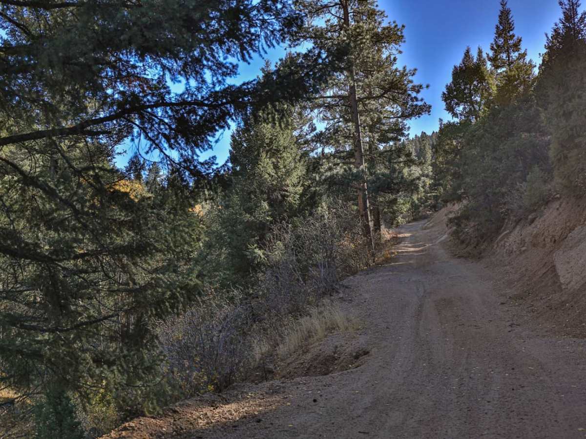 Jackson Creek South/ Watson Park photo 6