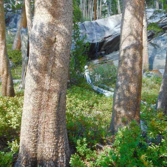Near Merced River Shelf