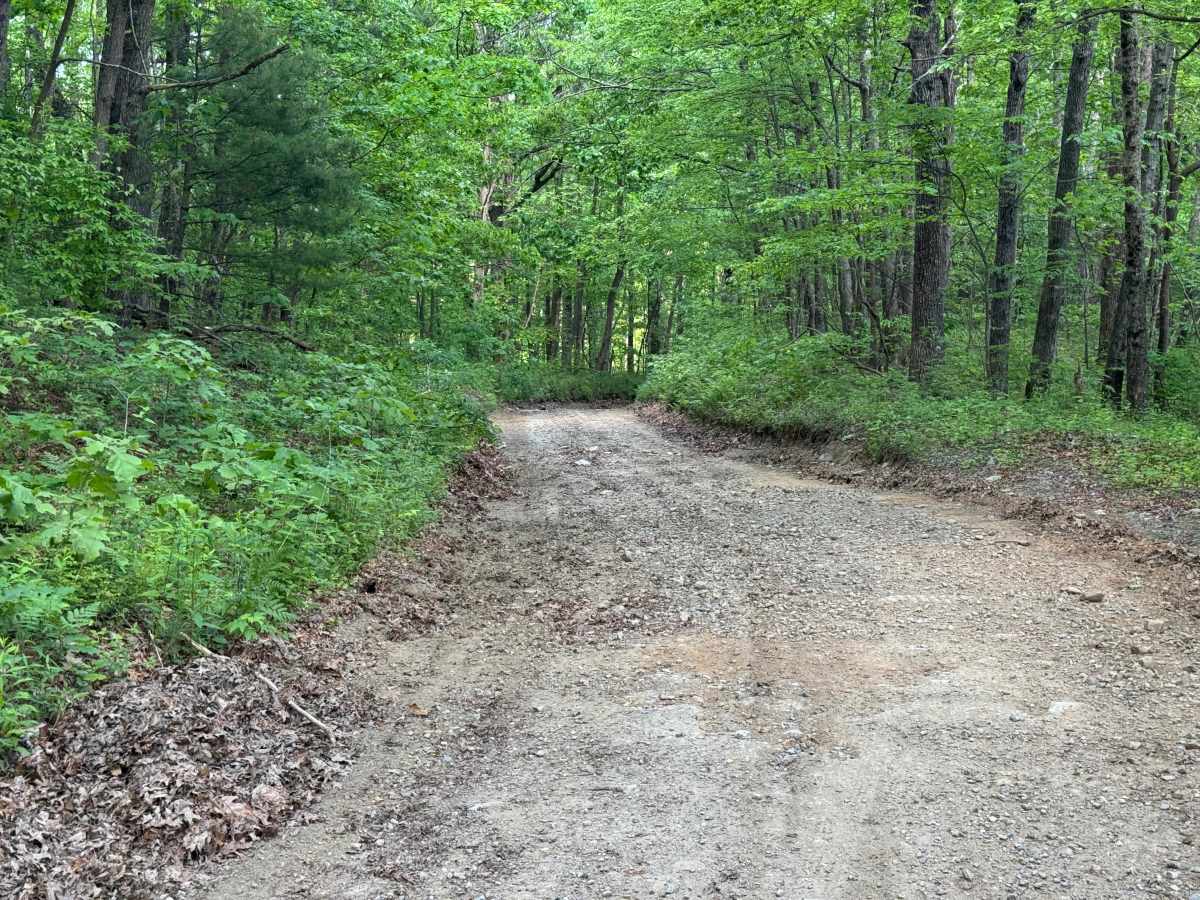 Blue Ridge - FS 42 photo 6