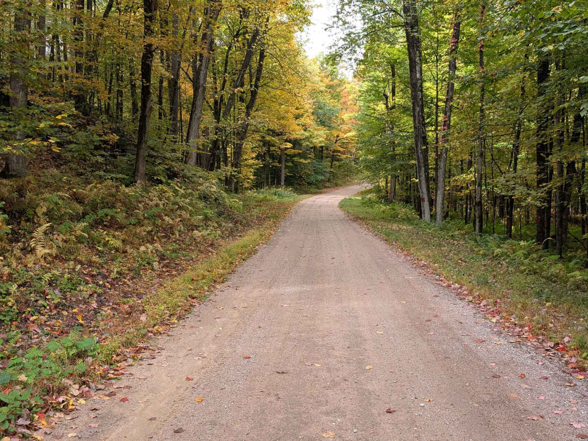 Boyd Pond Access Road trail photo