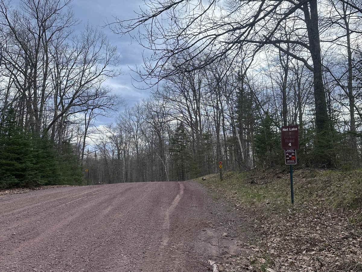 Net Lake Forest Road trail photo