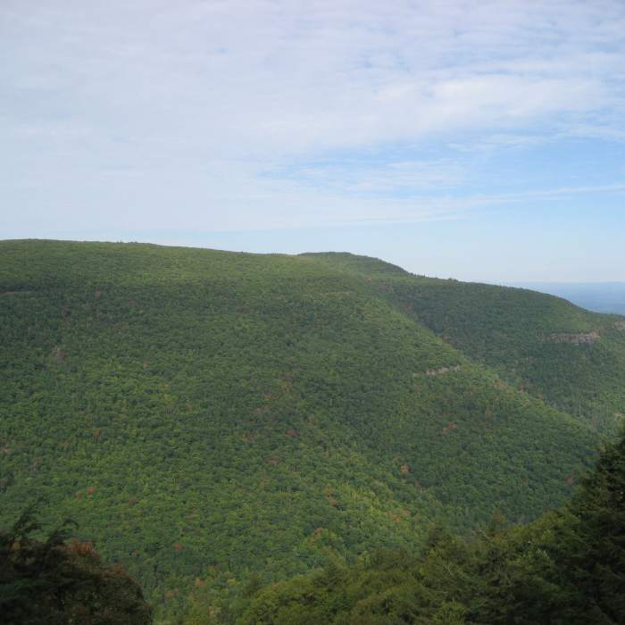 Near Long Path: Section 22 Platte Clove Road to Palenville
