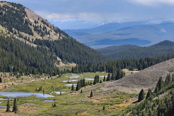 Tellurium Creek Road