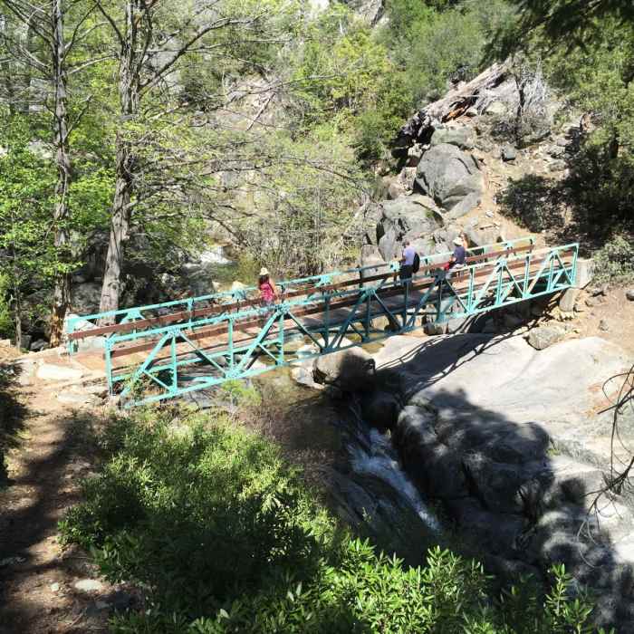 Near Chambers Creek Falls