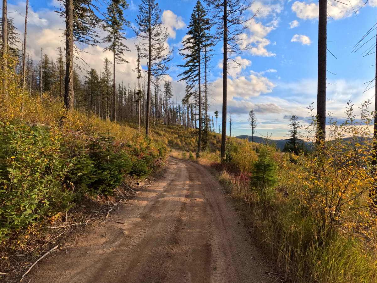 North Baldy - FS 1920306 photo 6