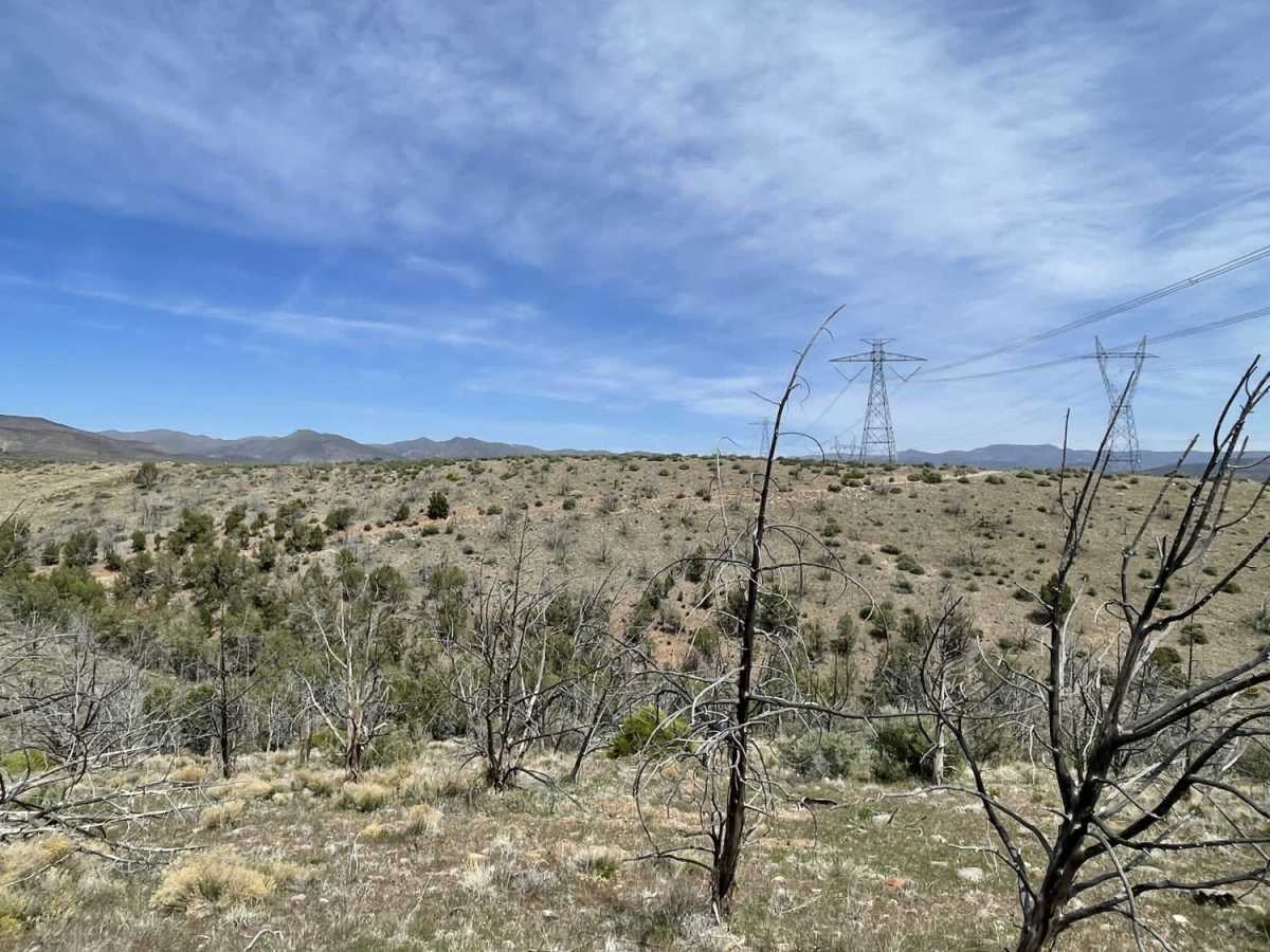 Twisty Turny Teeth Chattering Powerline Trail photo 3