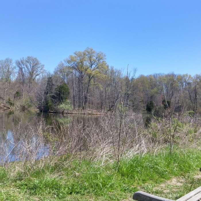 Bench at the edge of the lake Near Perimeter Loop