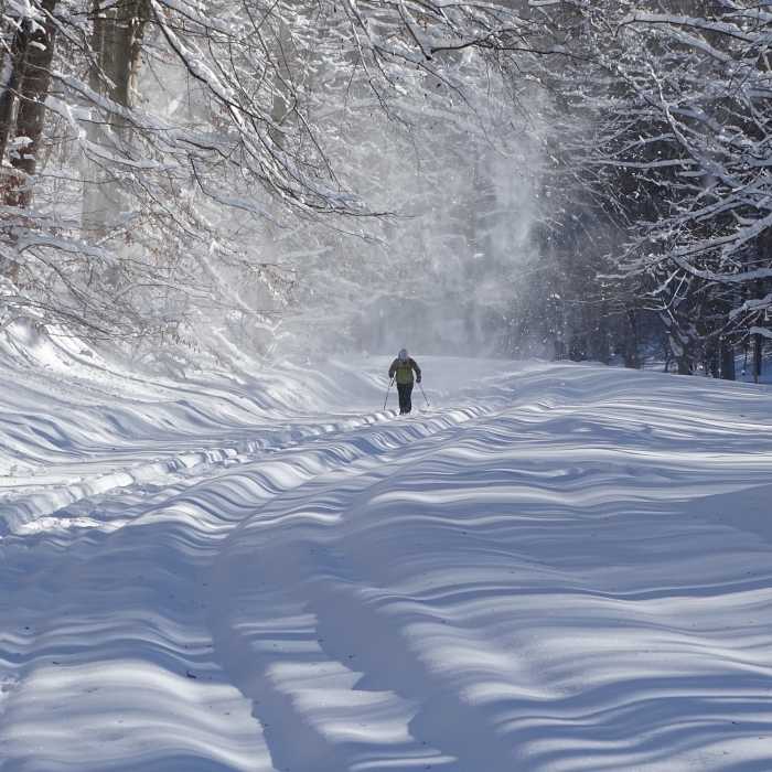 Near North Rock Creek Park 5K Loop