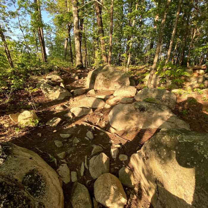 One of the rocky sections along Wildwind Trail Near Copperhead Out-and-Back