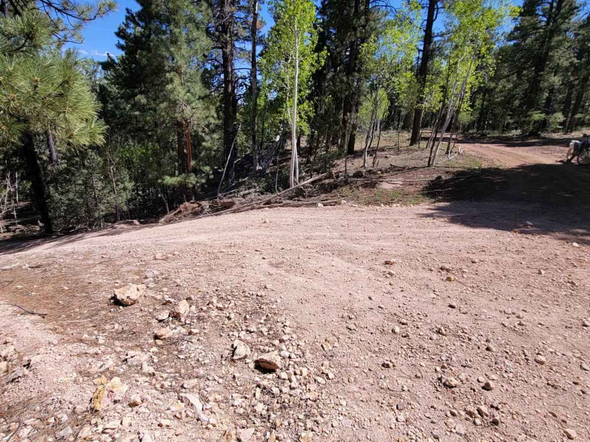 Uinta Loop 2 photo 4