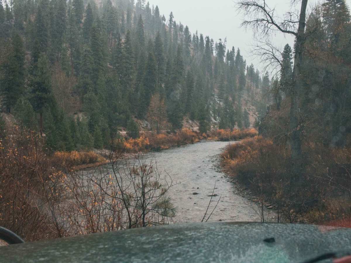 Rabbit Creek Road photo 3