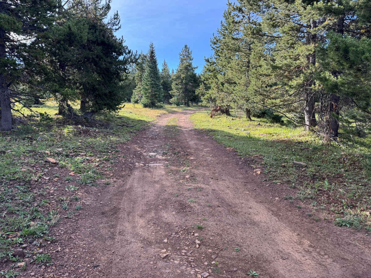 Taylor Creek J Road photo 2