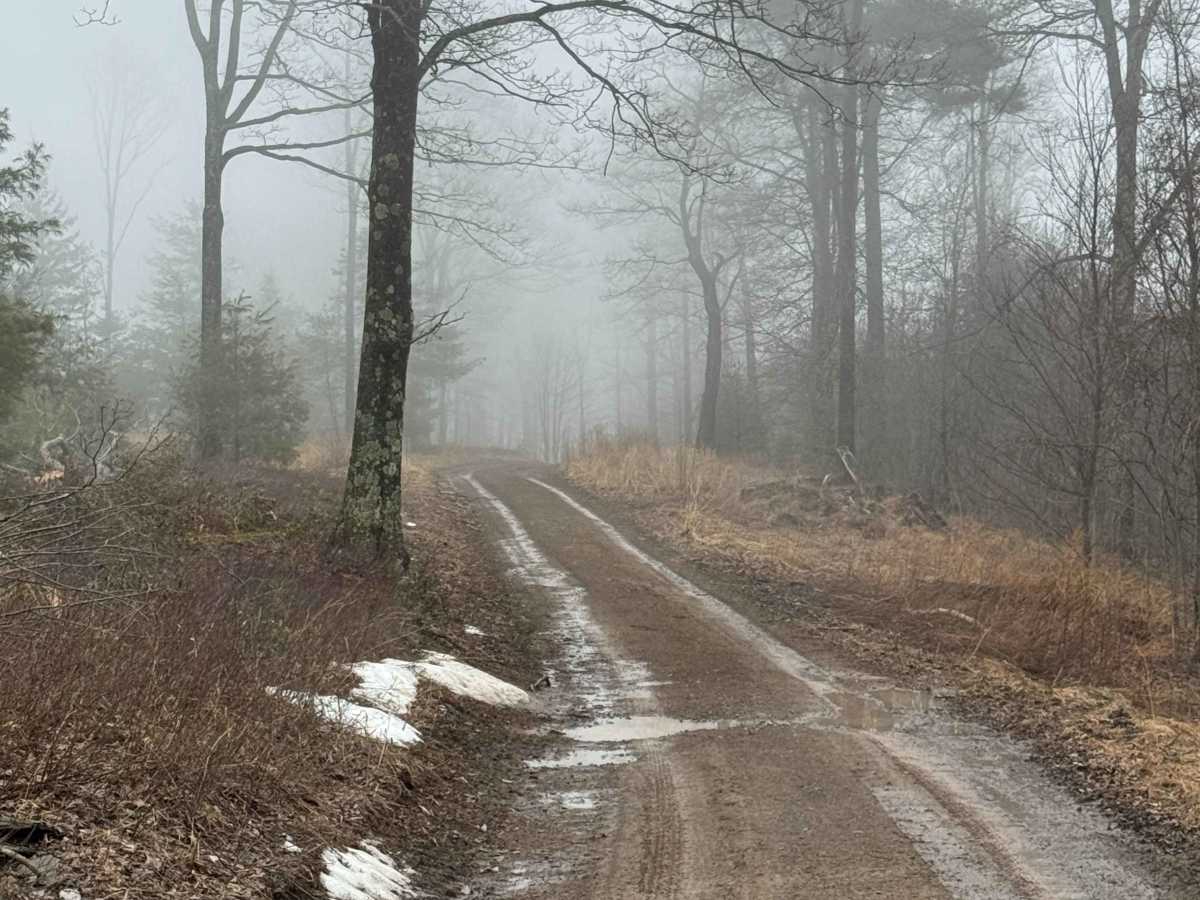 Benjamin Run Road photo 4
