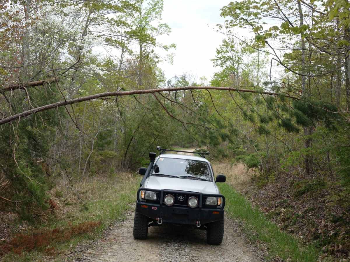 Lexton Mountain trail photo