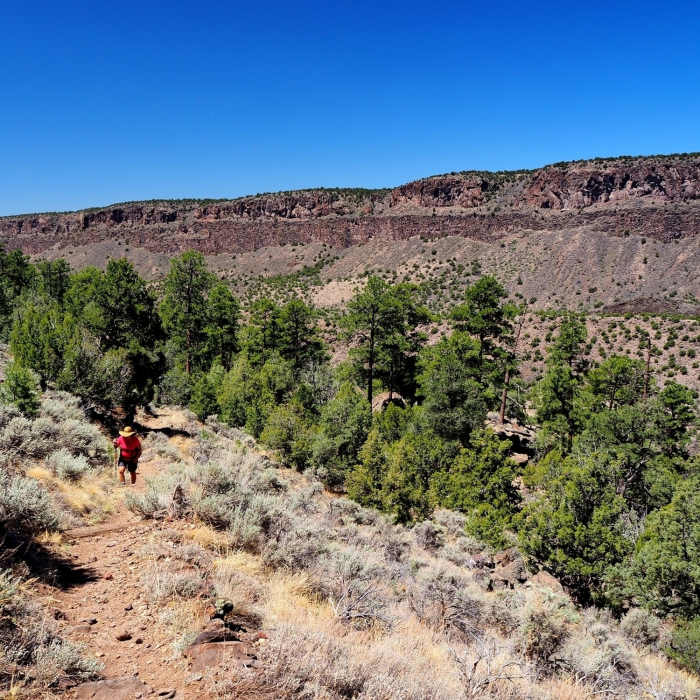 Near Rinconada Loop Trail