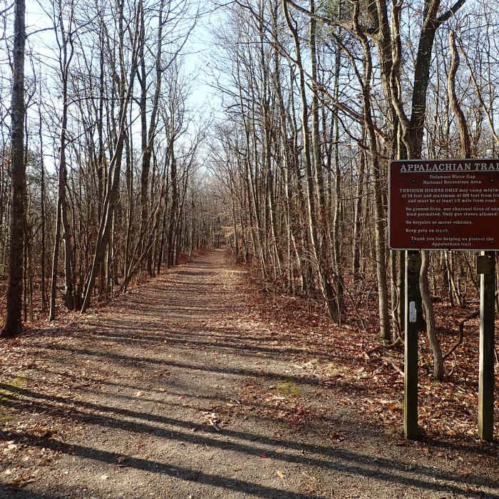 Near Appalachian Trail - Skyline to Catfish Pond Gap Near Appalachian Trail - Skyline to Catfish Pond Gap